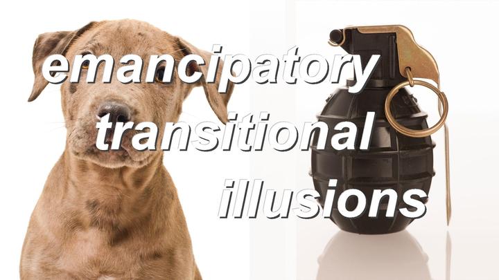 emancipatory transitional illusions