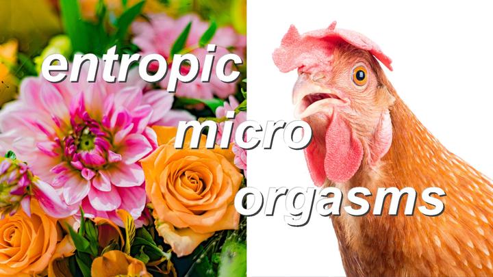 entropic micro orgasms