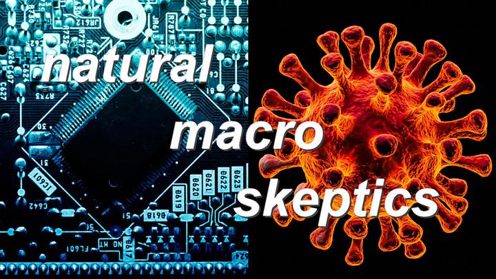 natural macro skeptics