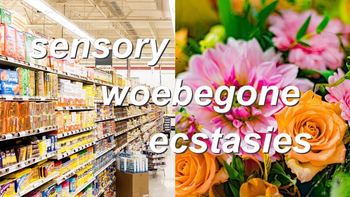 sensory woebegone ecstasies