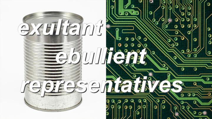 exultant ebullient representatives