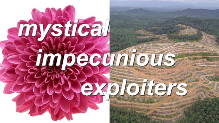 mystical impecunious exploiters