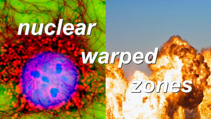 nuclear warped zones