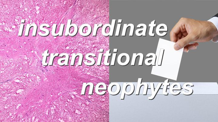 insubordinate transitional neophytes