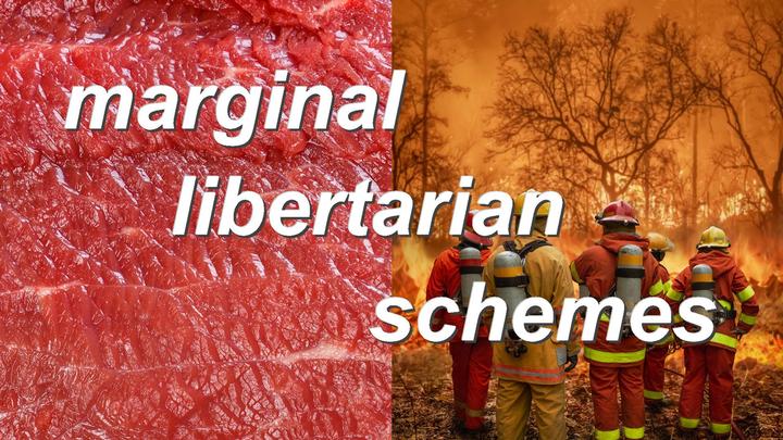 marginal libertarian schemes