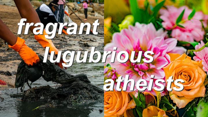 fragrant lugubrious atheists