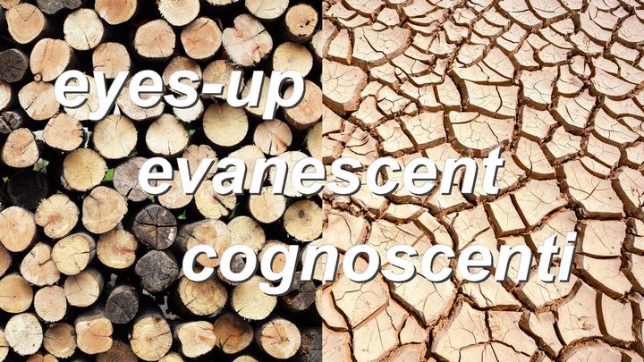 eyes-up evanescent cognoscenti